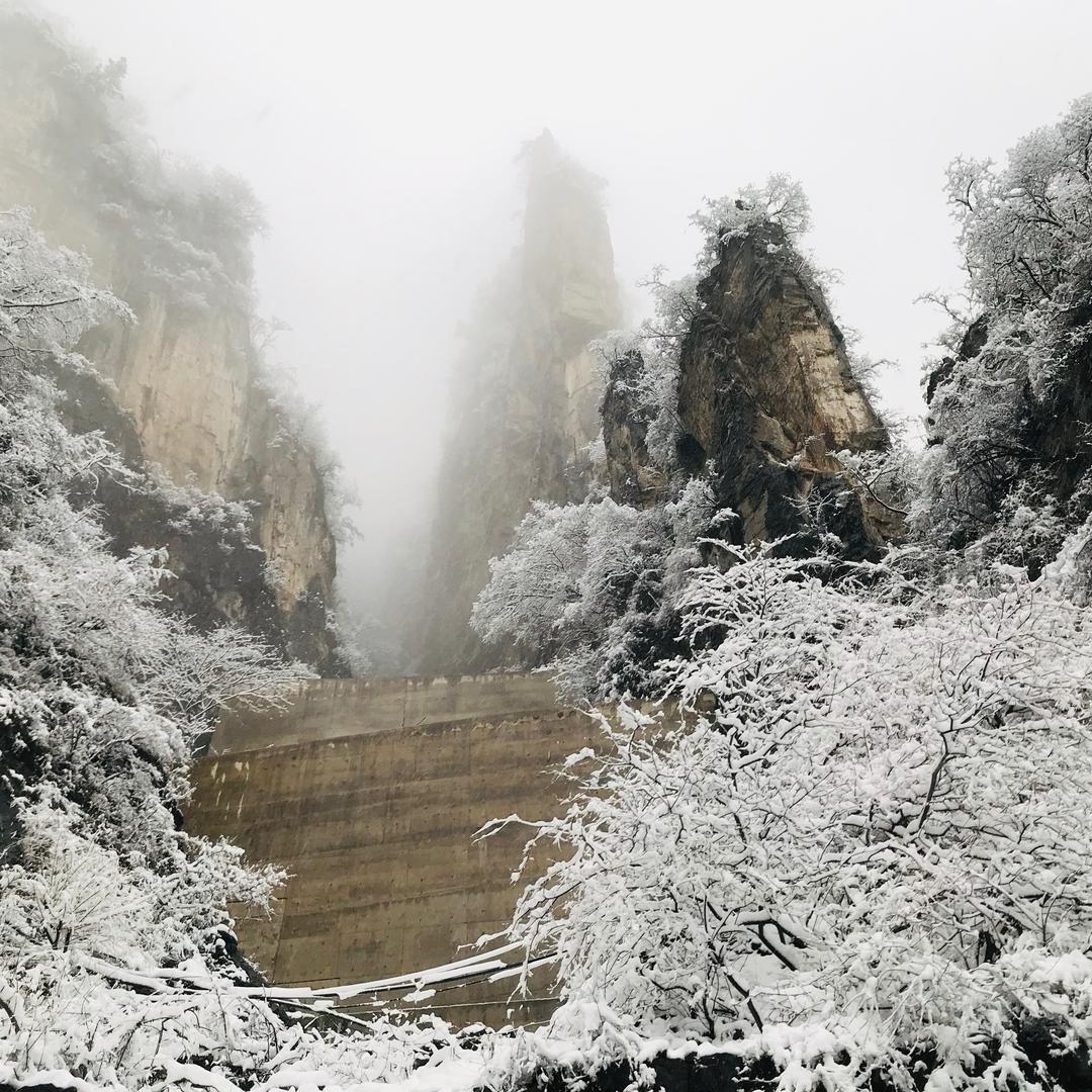 奋斗小中年¥李涛（崖柏回收）