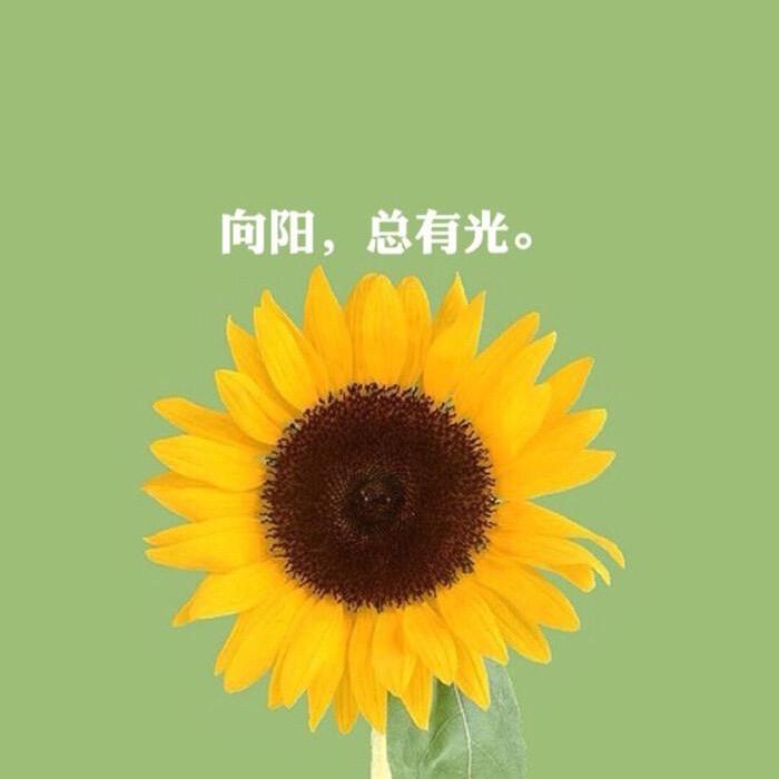 雅雅.