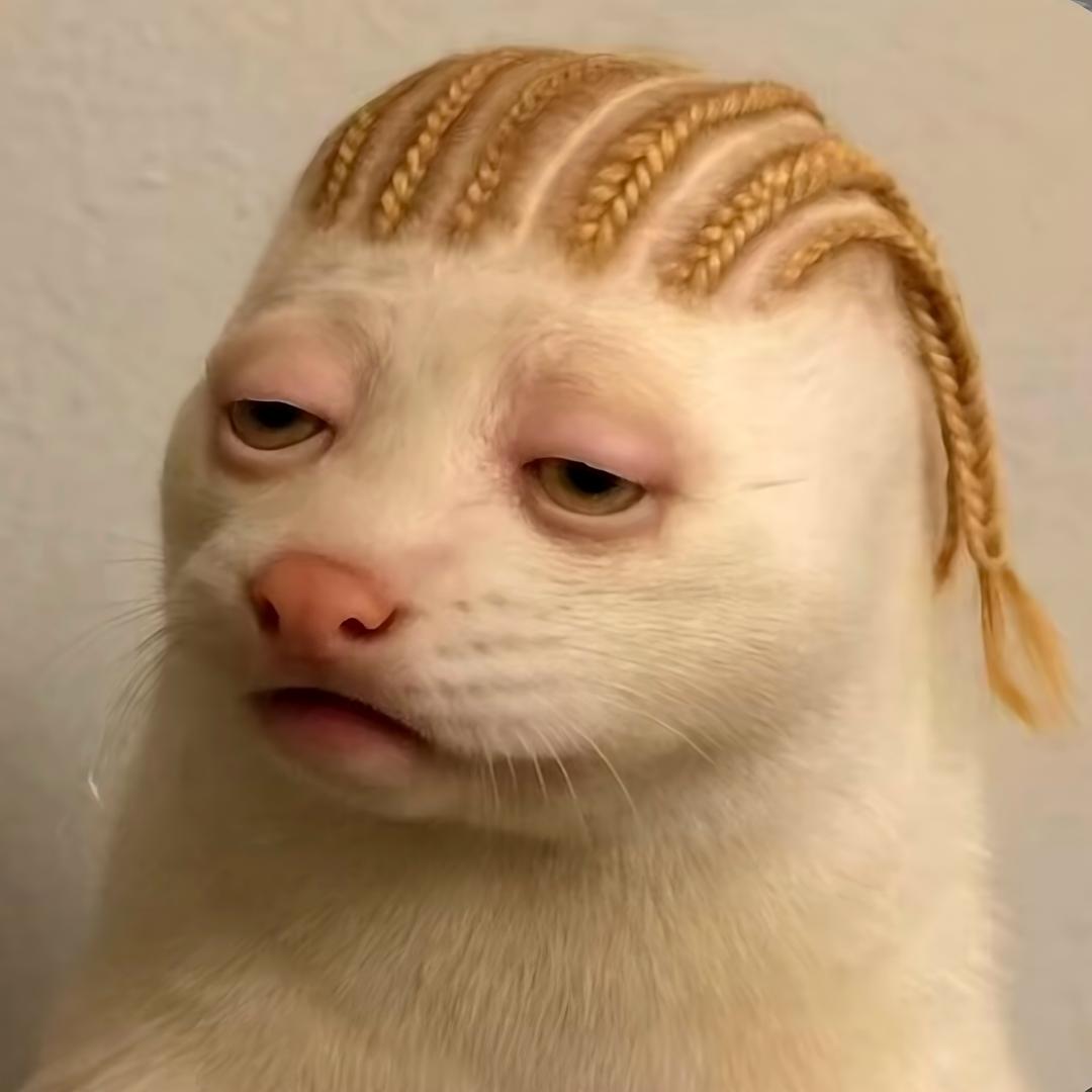 ing哦