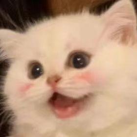 发财猫的