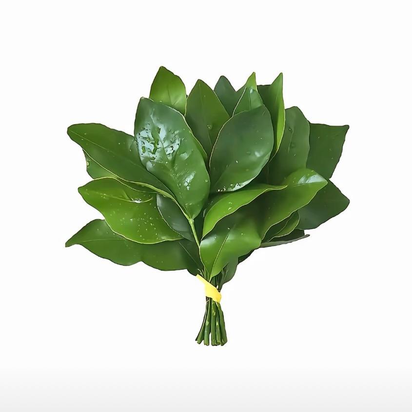 花开富贵招财版