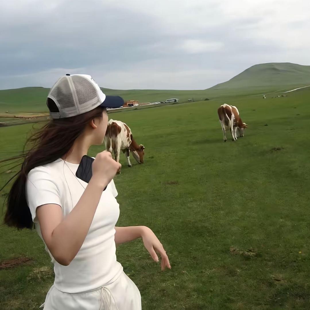 毛豆&