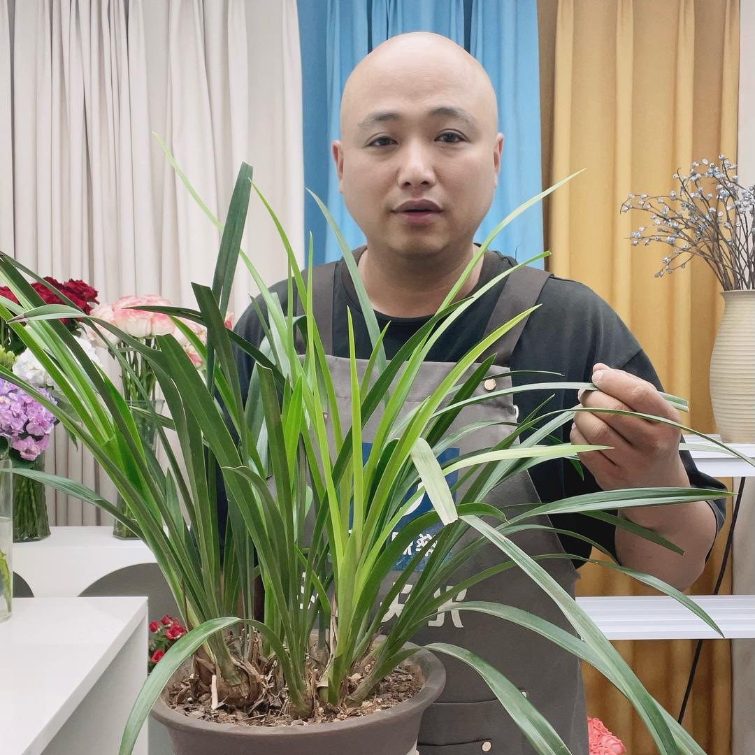 胖子鲜花