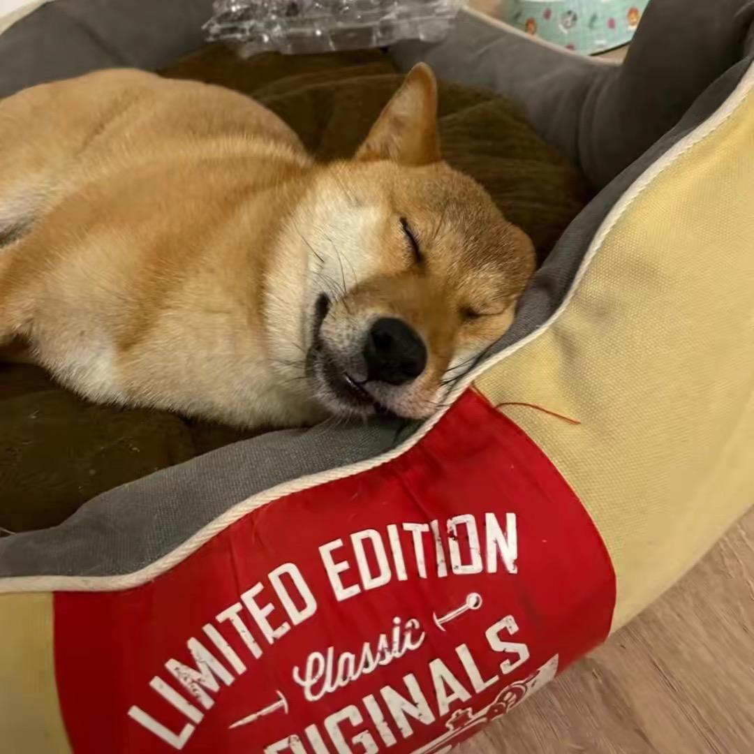 初恋的小左和老林