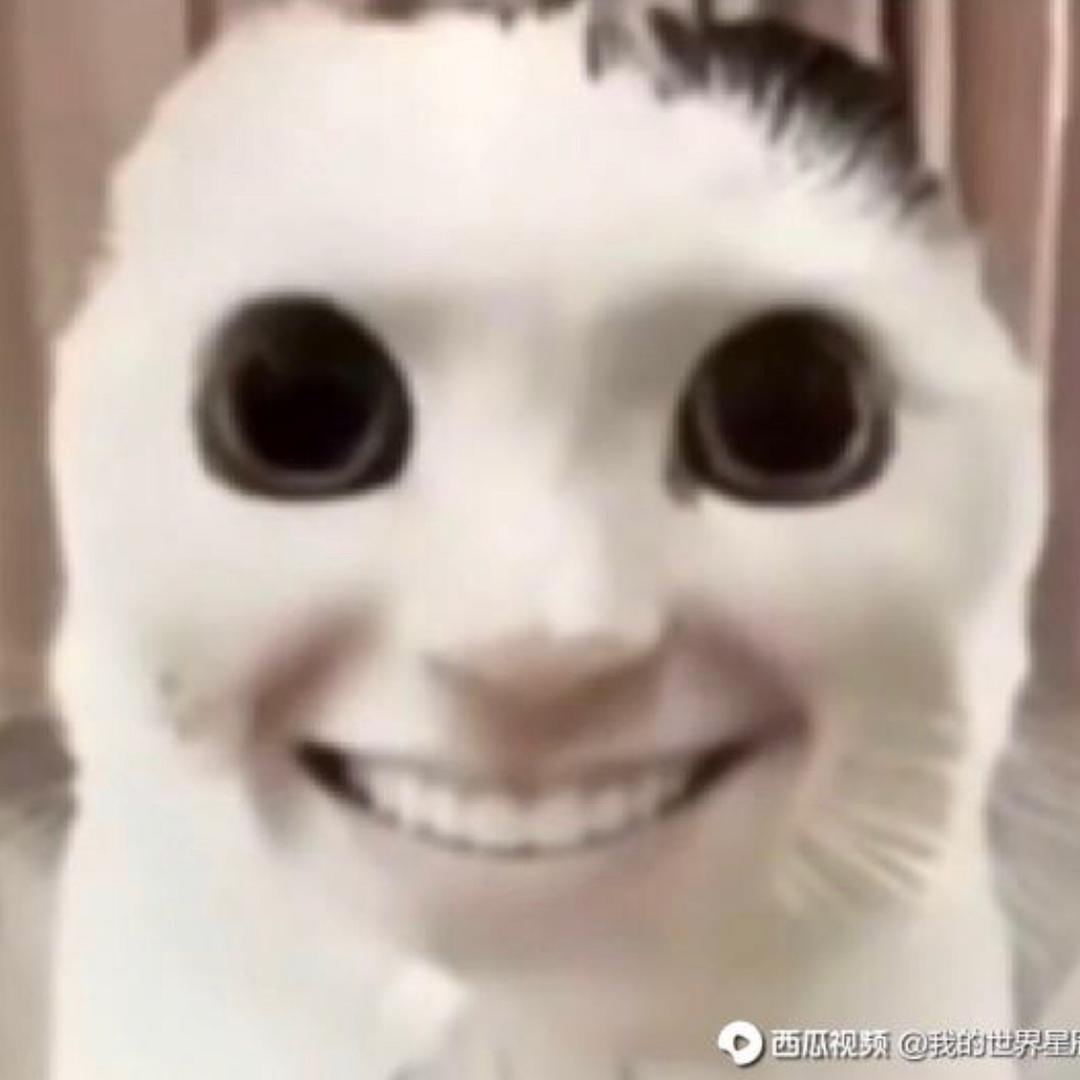 陈晓东