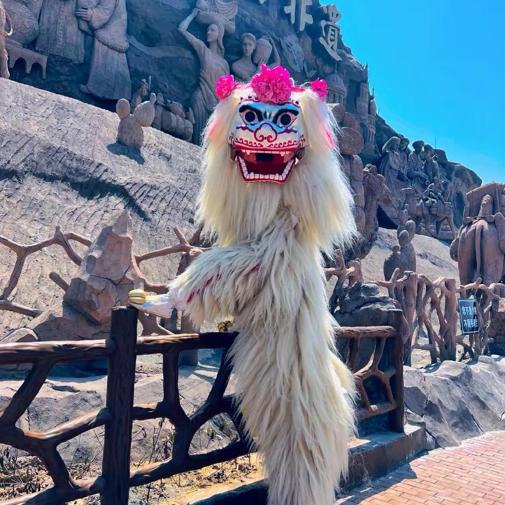 中国—梁山舞狮表演团