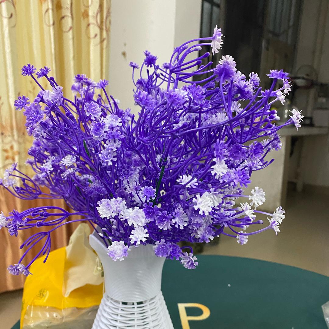 爱吃芒果