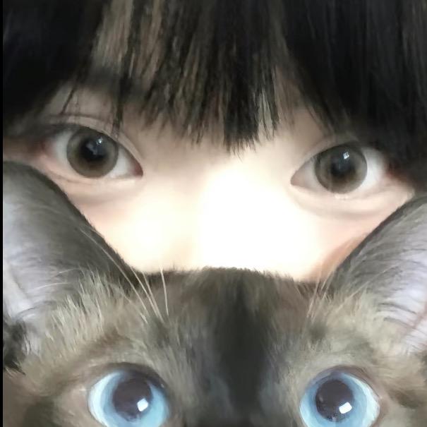 o。。。。