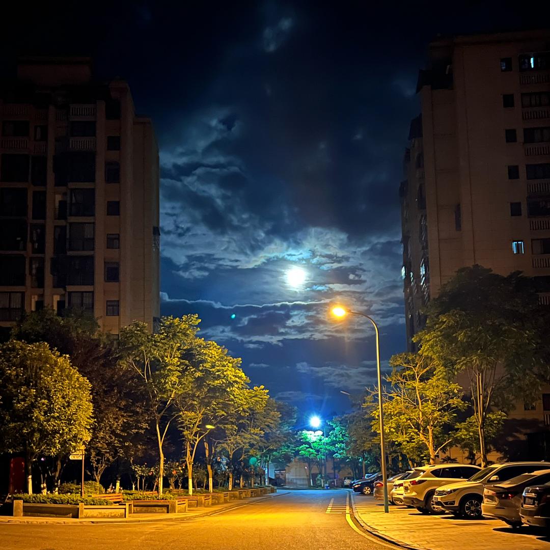 我是四当家