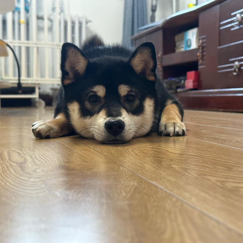 顺子爱喝水