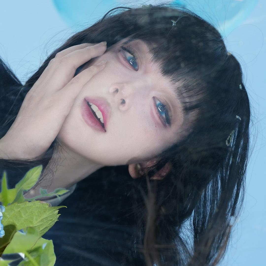 菜香吃爱