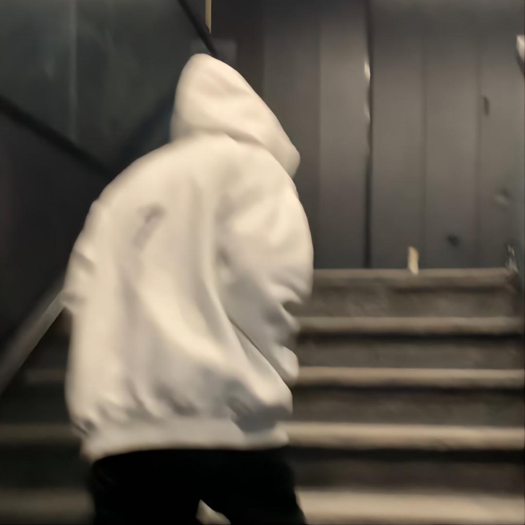 反方向鹤