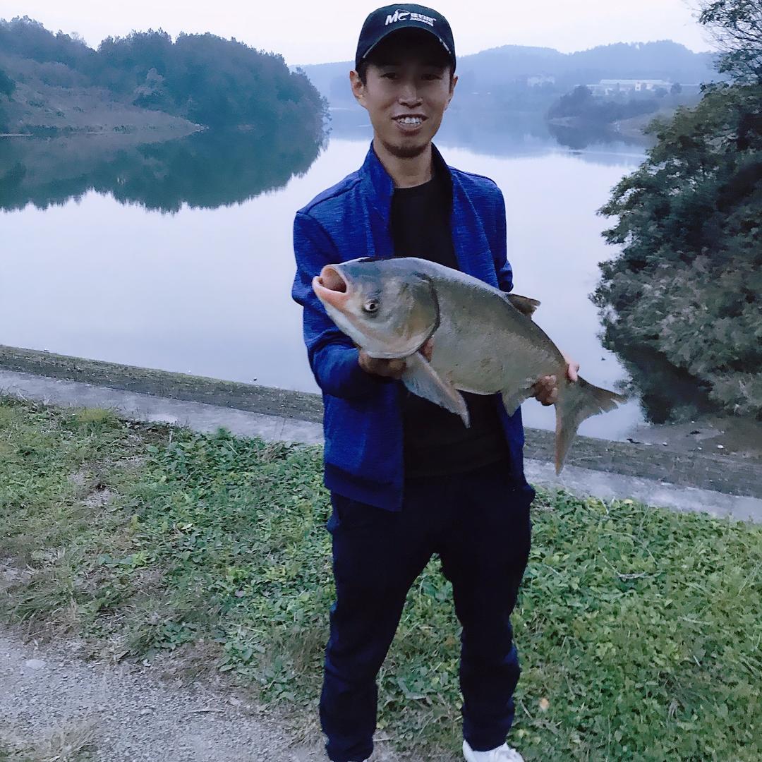 鲢鳙哥户外垂钓装备