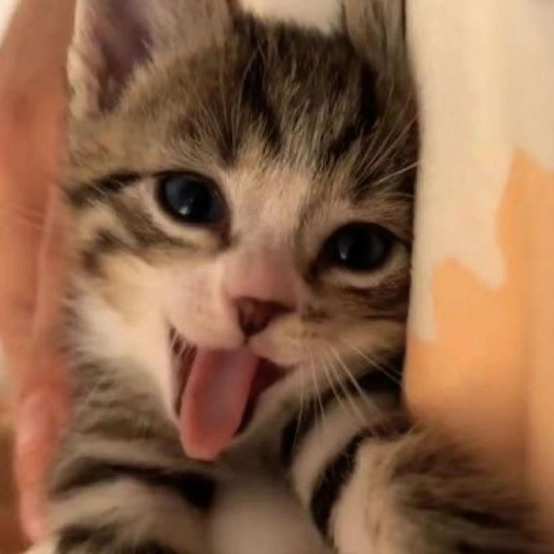 耍帅被打掉一颗虎牙