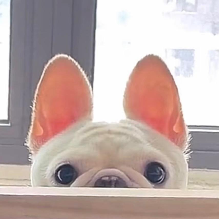 苦情歌
