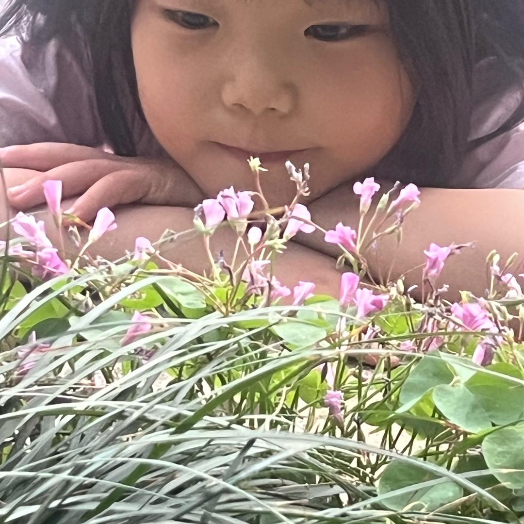 @珂冉