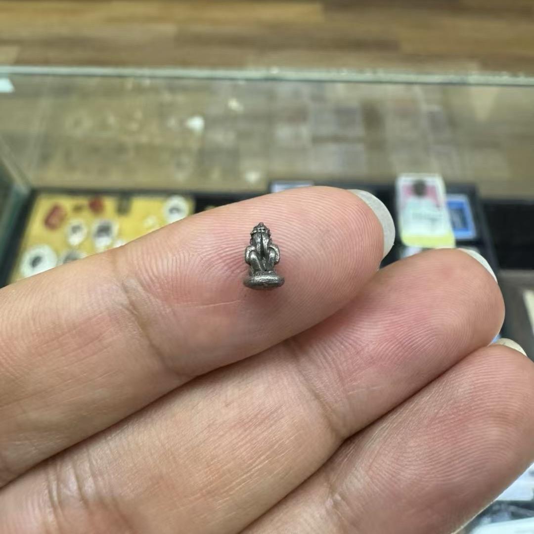光芒狗