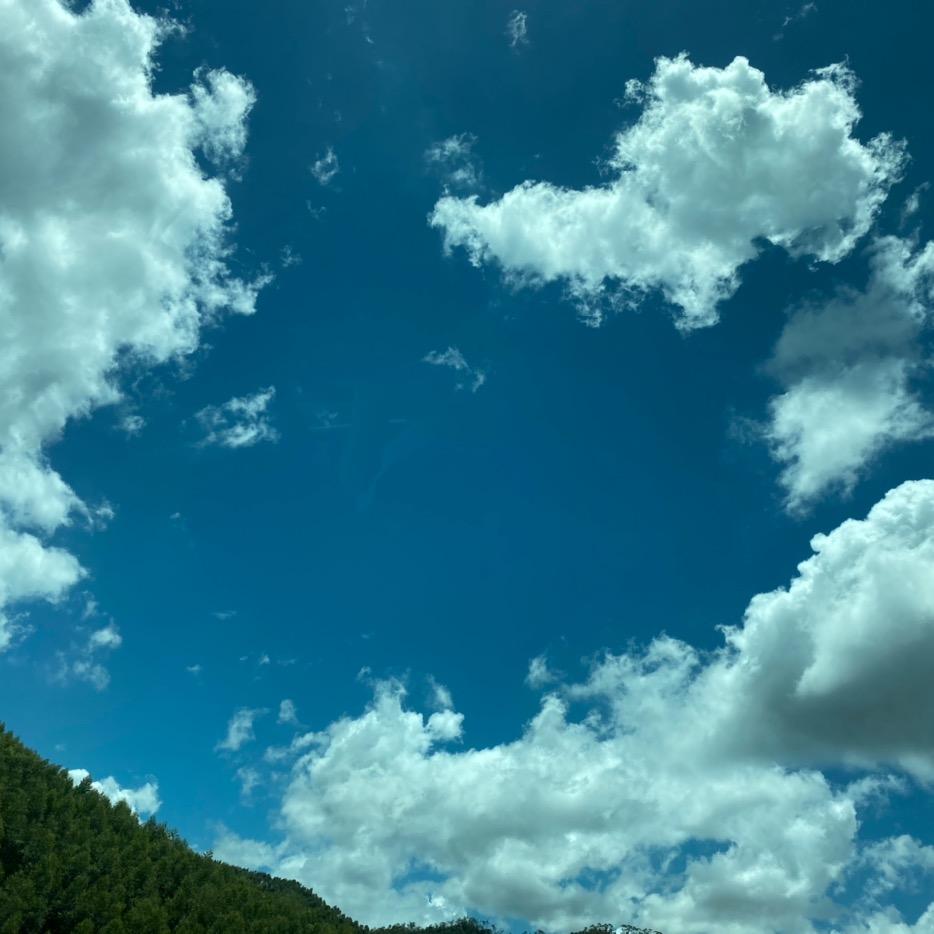 迷路精靈-