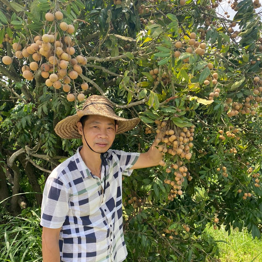 老吴的水果农场