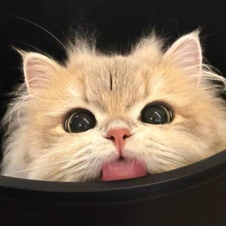 张张💞
