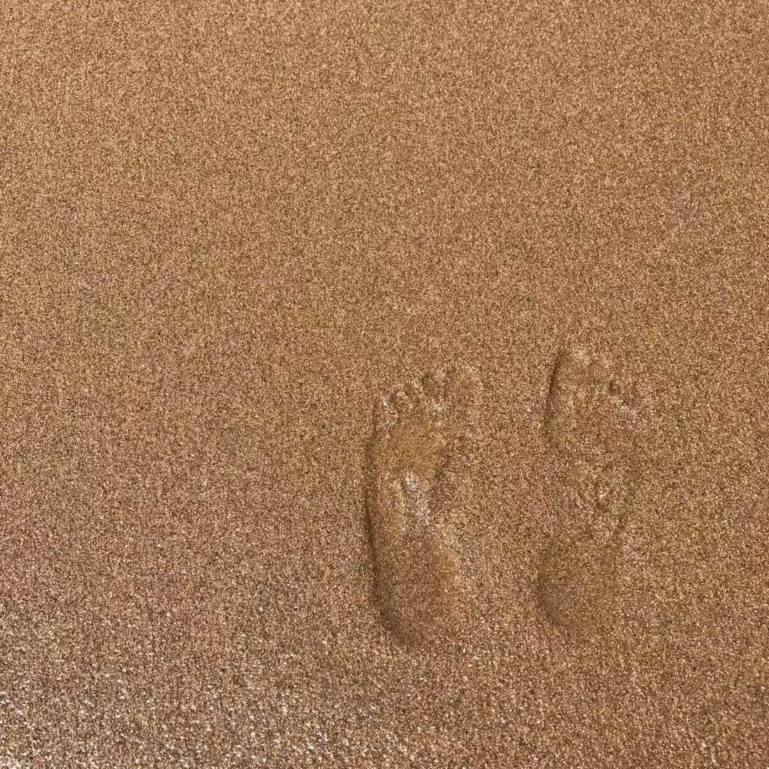 广州桑愠直播号