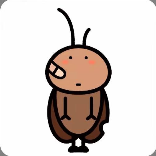 广东双马尾