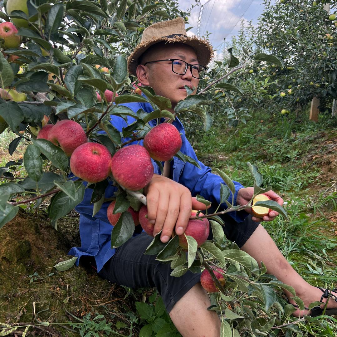 垚鲜森