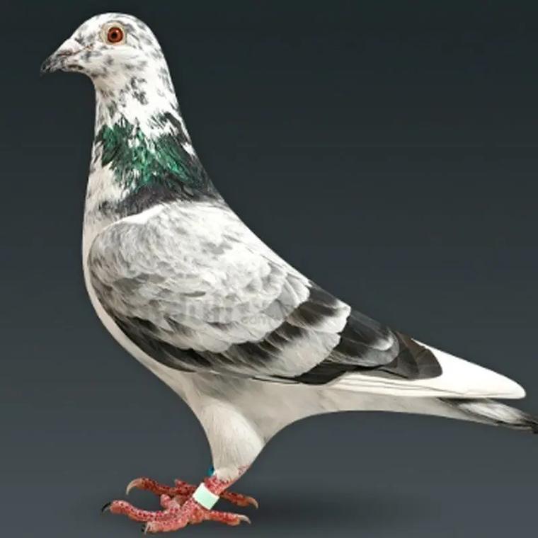 沐荣生鲜汇聚屋