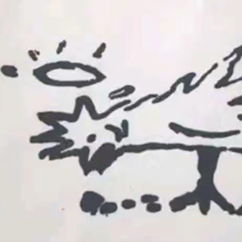 战斗鸡🐔