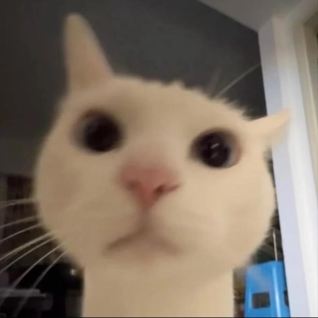 卷卷