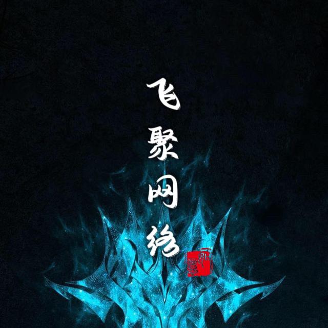 飞聚网络
