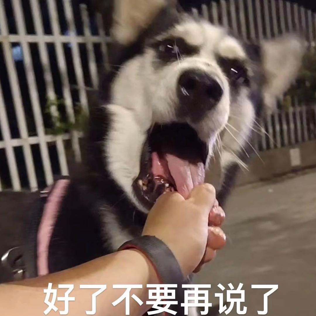 槐序21
