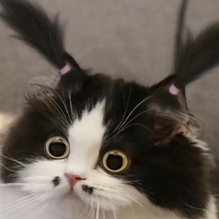 ？嗯