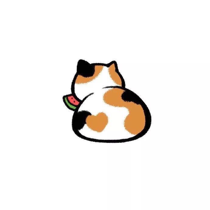 月关曰
