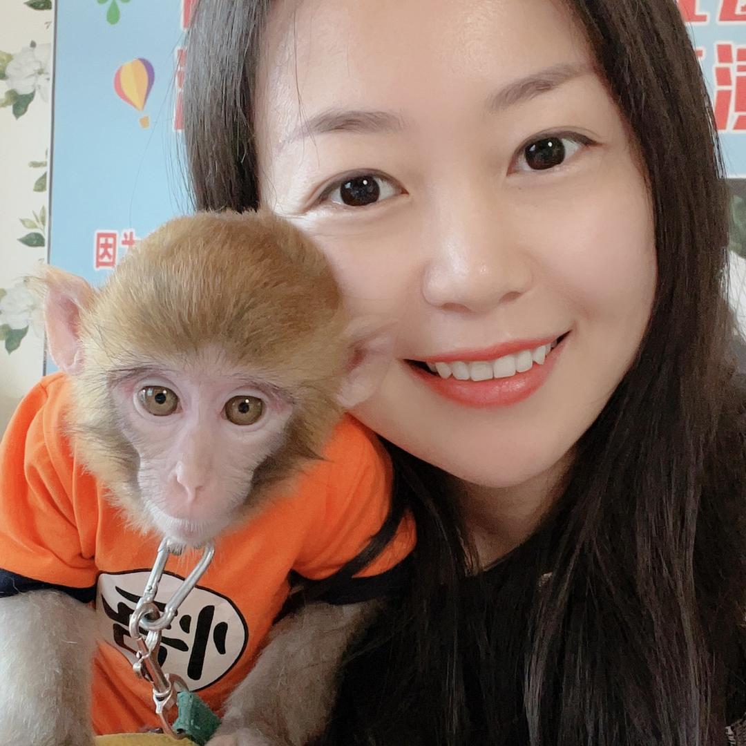 猴宝小毛三