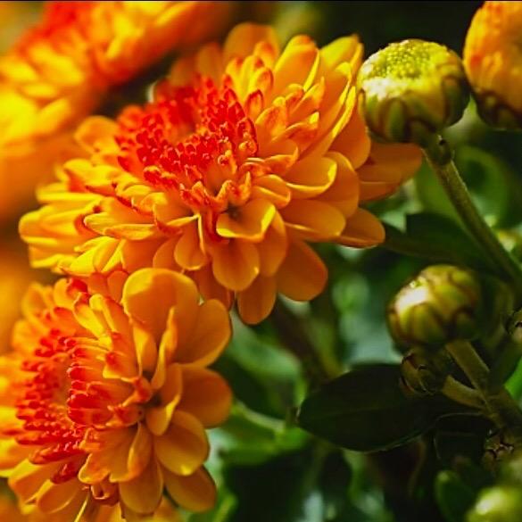 P❤️ A❤️ Y❤️