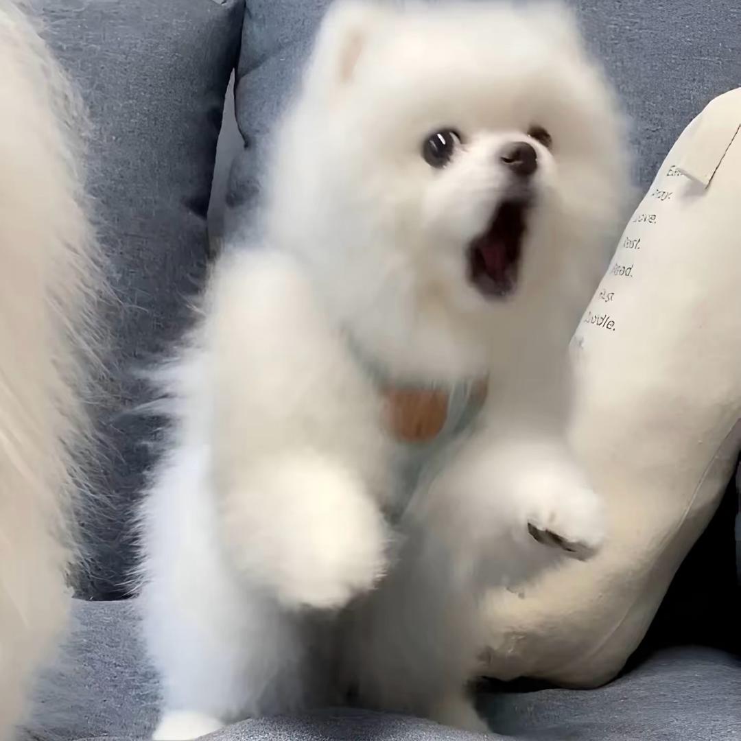 汐辰