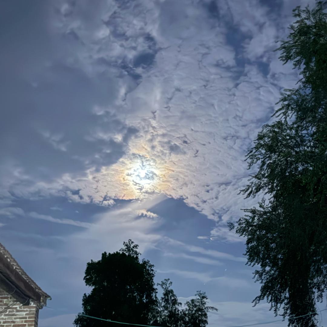 刚刚好ദ്ദി