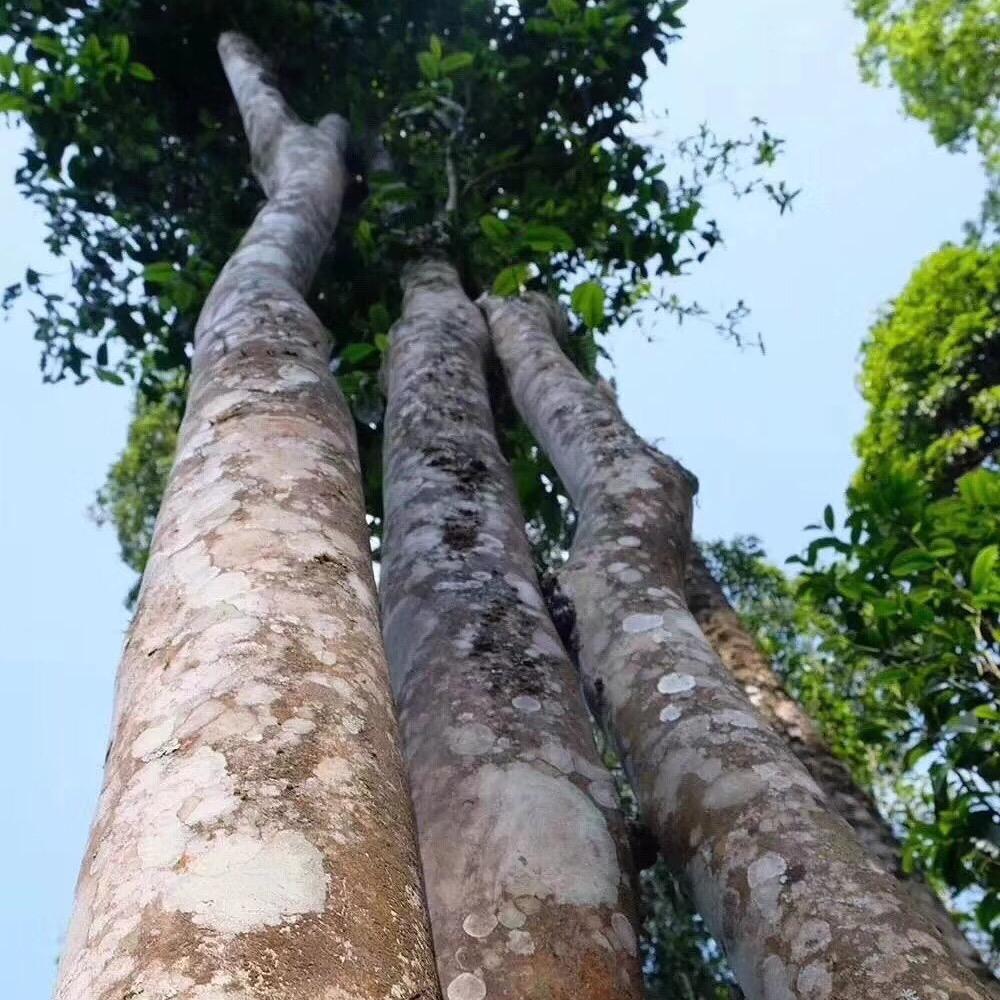 河北海河特种线缆有限公司