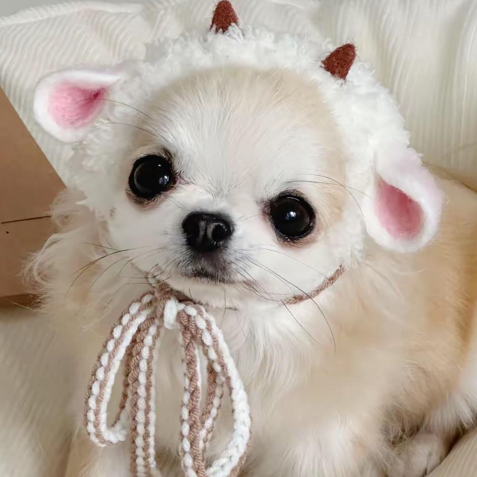 穗