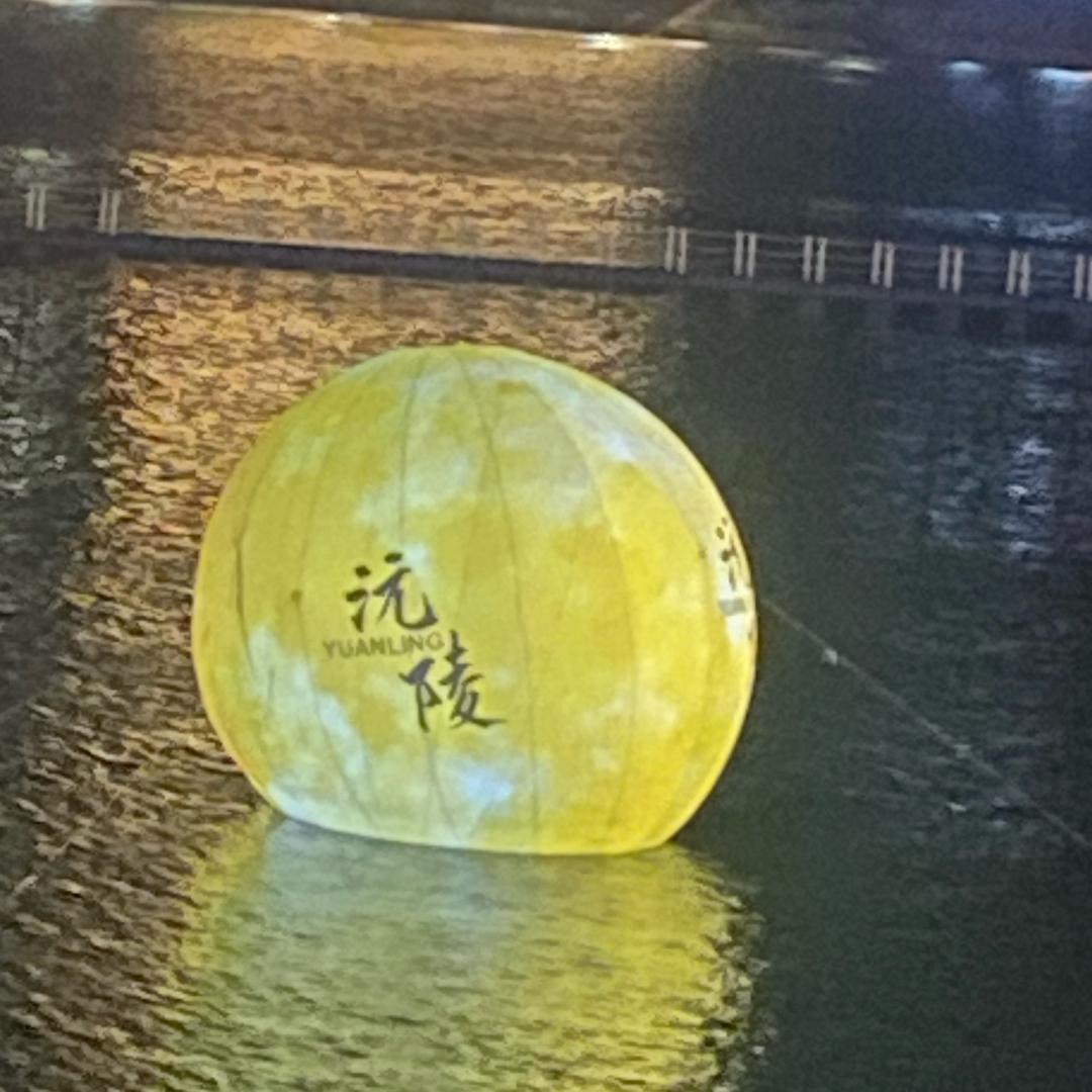 (>_<)张♥鱼小丸孑