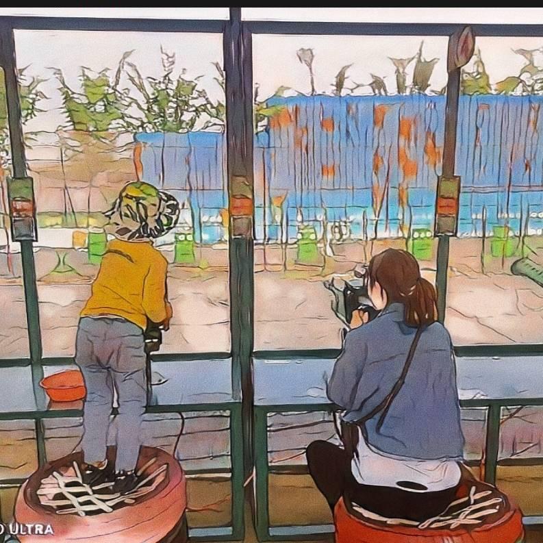 大道致简