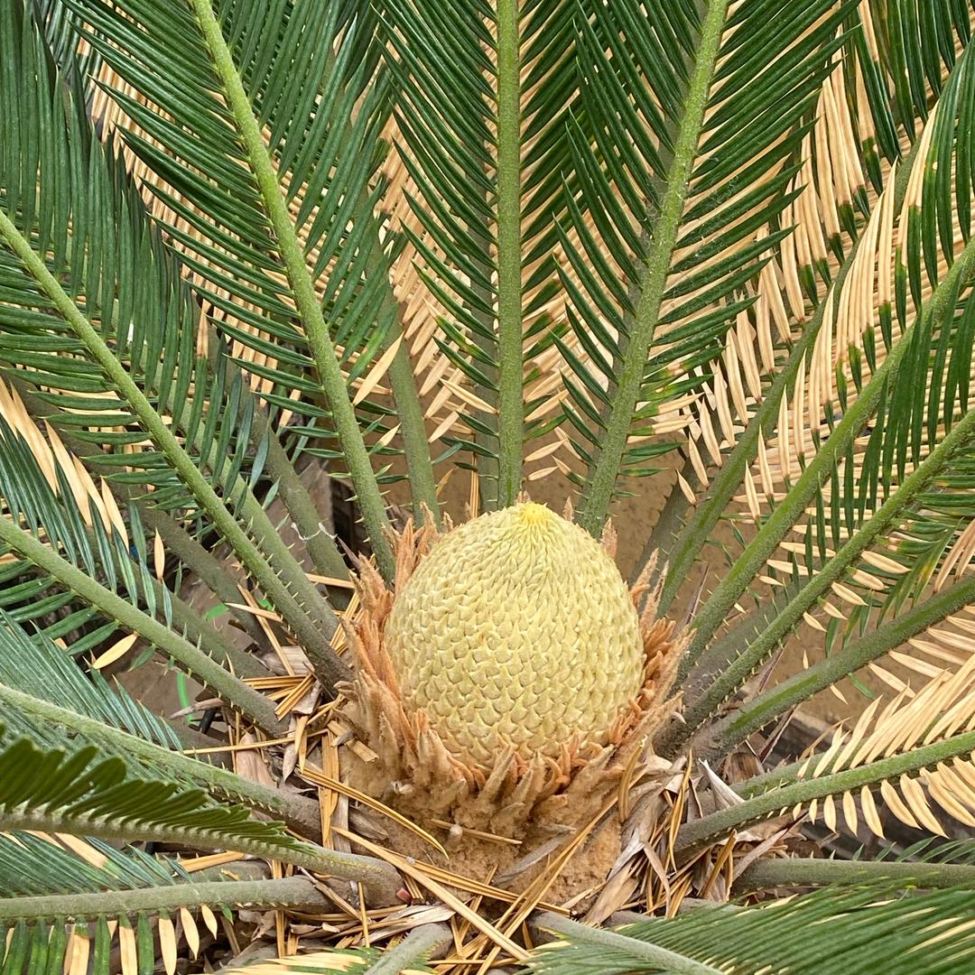 赢在人性