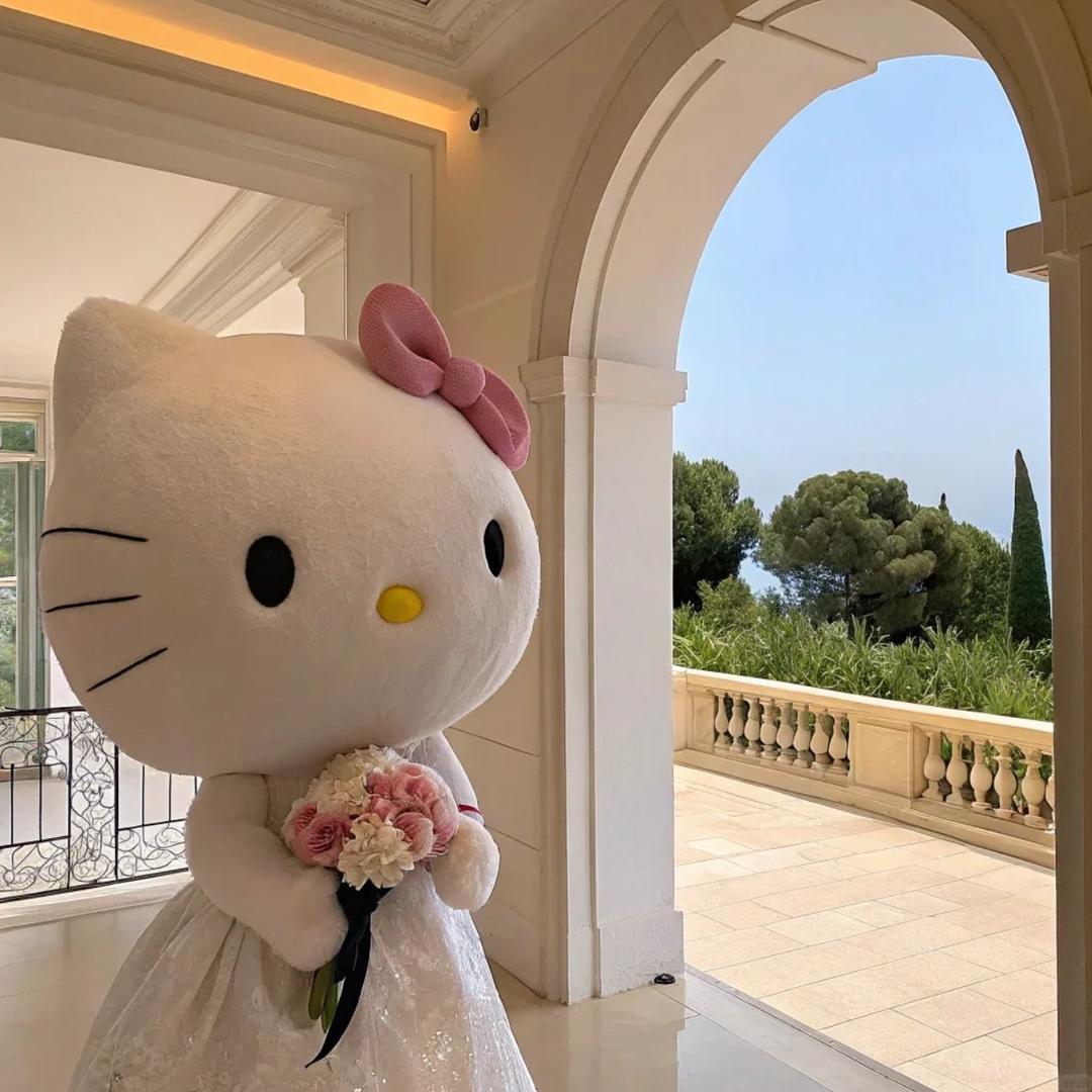 回流婷婷