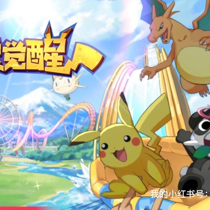 口袋觉醒