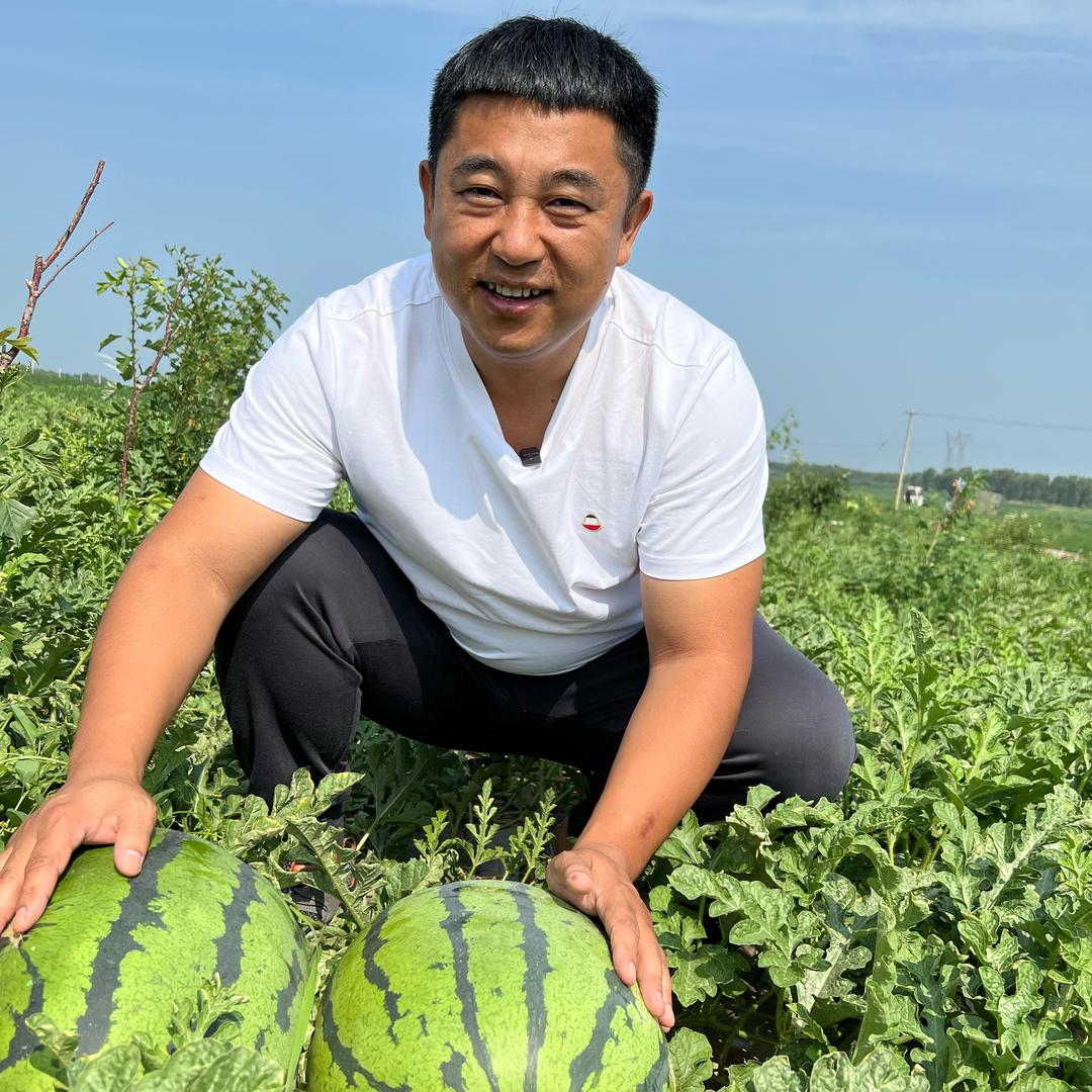 西甜瓜植保宋老师