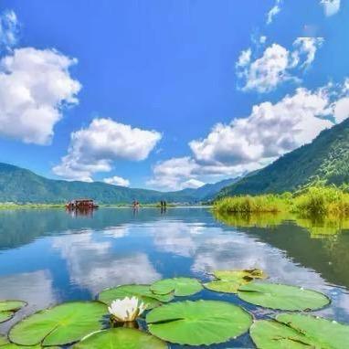 顺时山货土特产1号