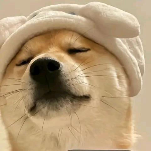 桃子说