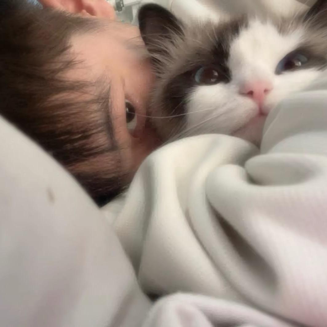 心在多伦多i