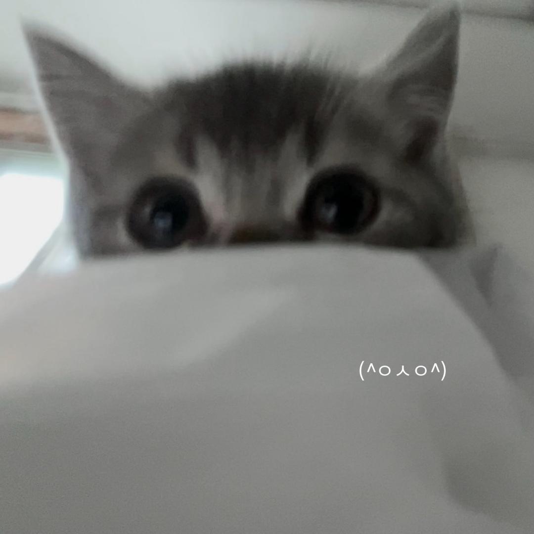无休止